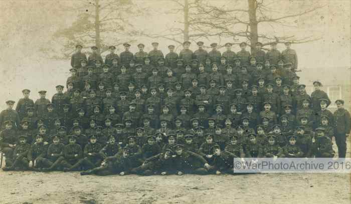 11 Bn Witley 1916